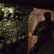 Тийнейджъри, затворени в парижки катакомби за 3 дни