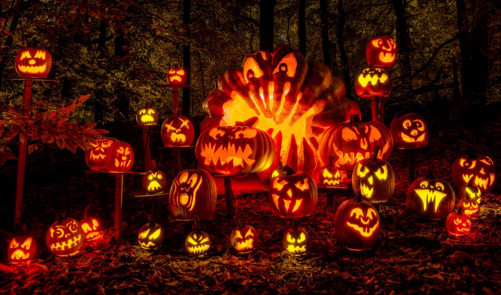 scary jack o lantern pictures