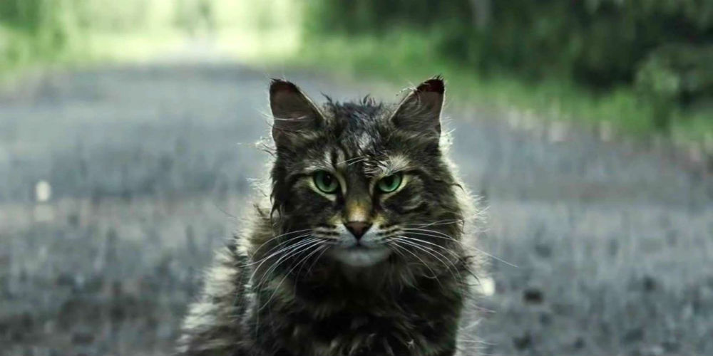 Pet Sematary Remake - Kostelní kočka zblízka