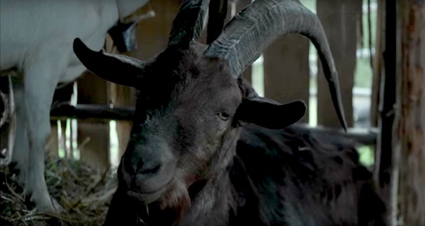Horror Pets To Keep Out Of The Pet Sematary