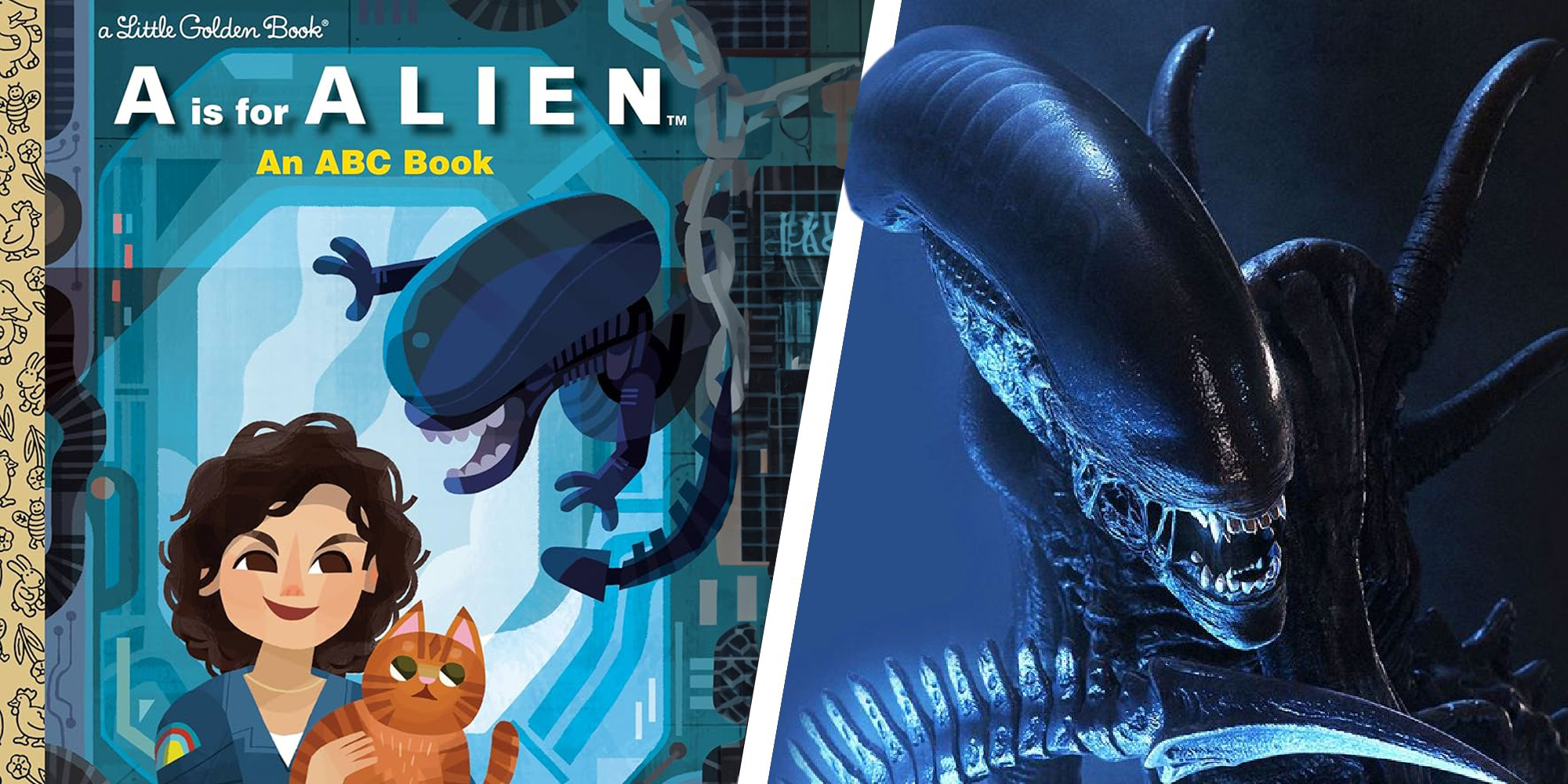 Libro alienígena