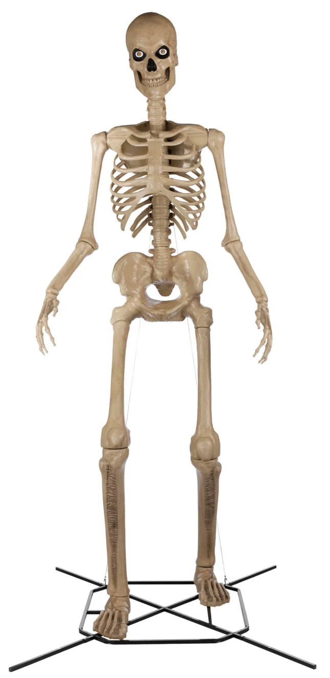 Home Depot Skeleton Prop